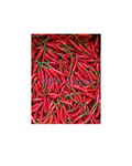 Frische rote Chilis 100G พริกแดง