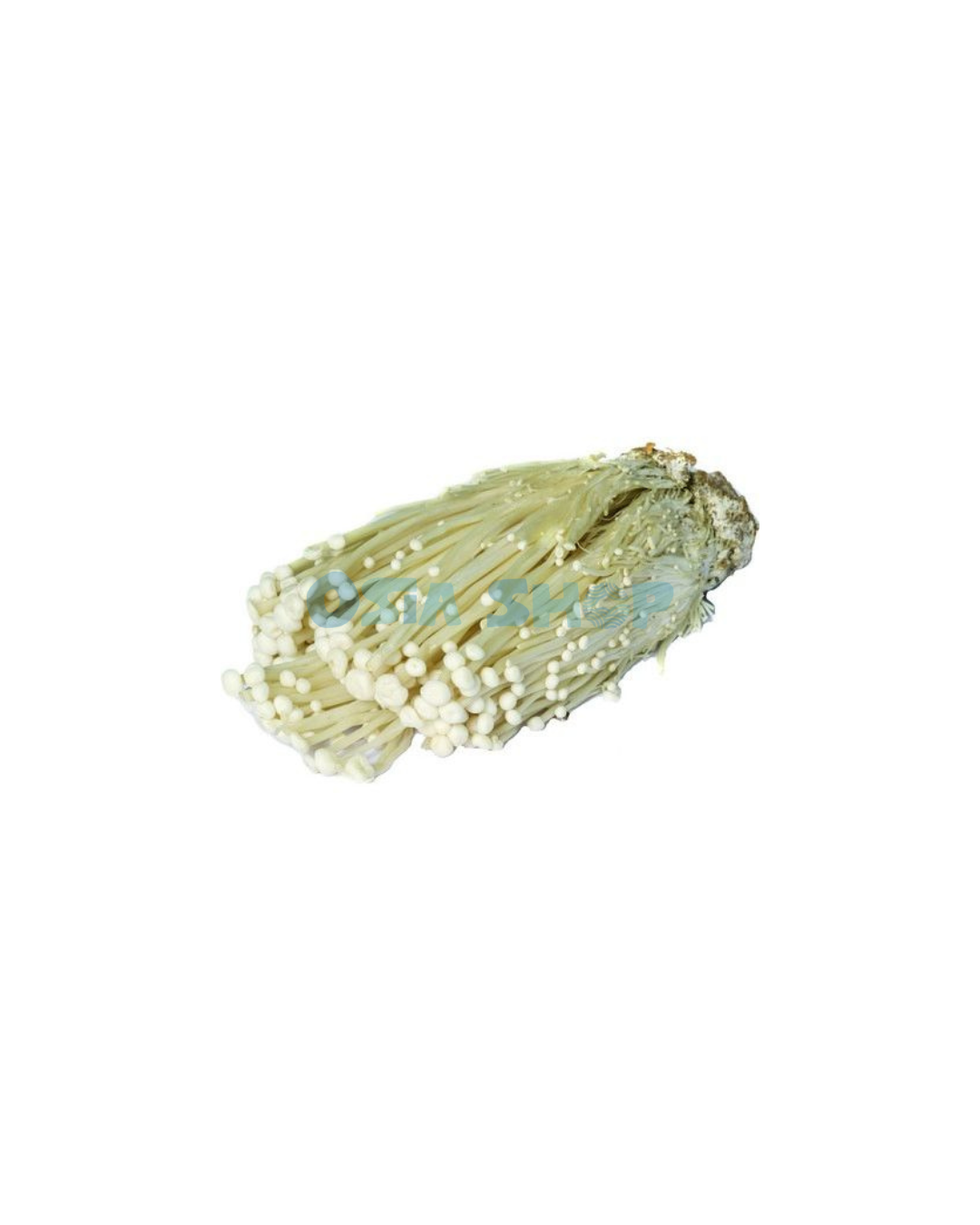 Enoki Pilze 100g (เห็ดเข็มทอง/ Nấm kim châm )