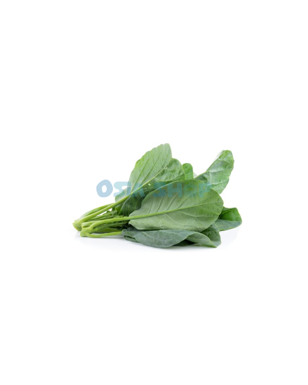 Junge Kale / Chinesische Brokkoli 100g (คะน้าอ่อน / Cải rổ )