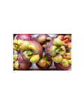 Mangostane 500g (มังคุด / Măng cụt)