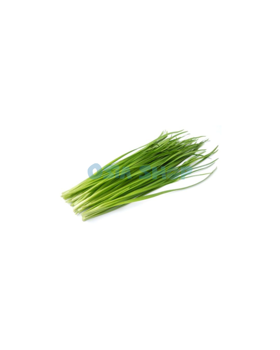 Schnittknoblauch 100g (กุยช่าย/ Hẹ)