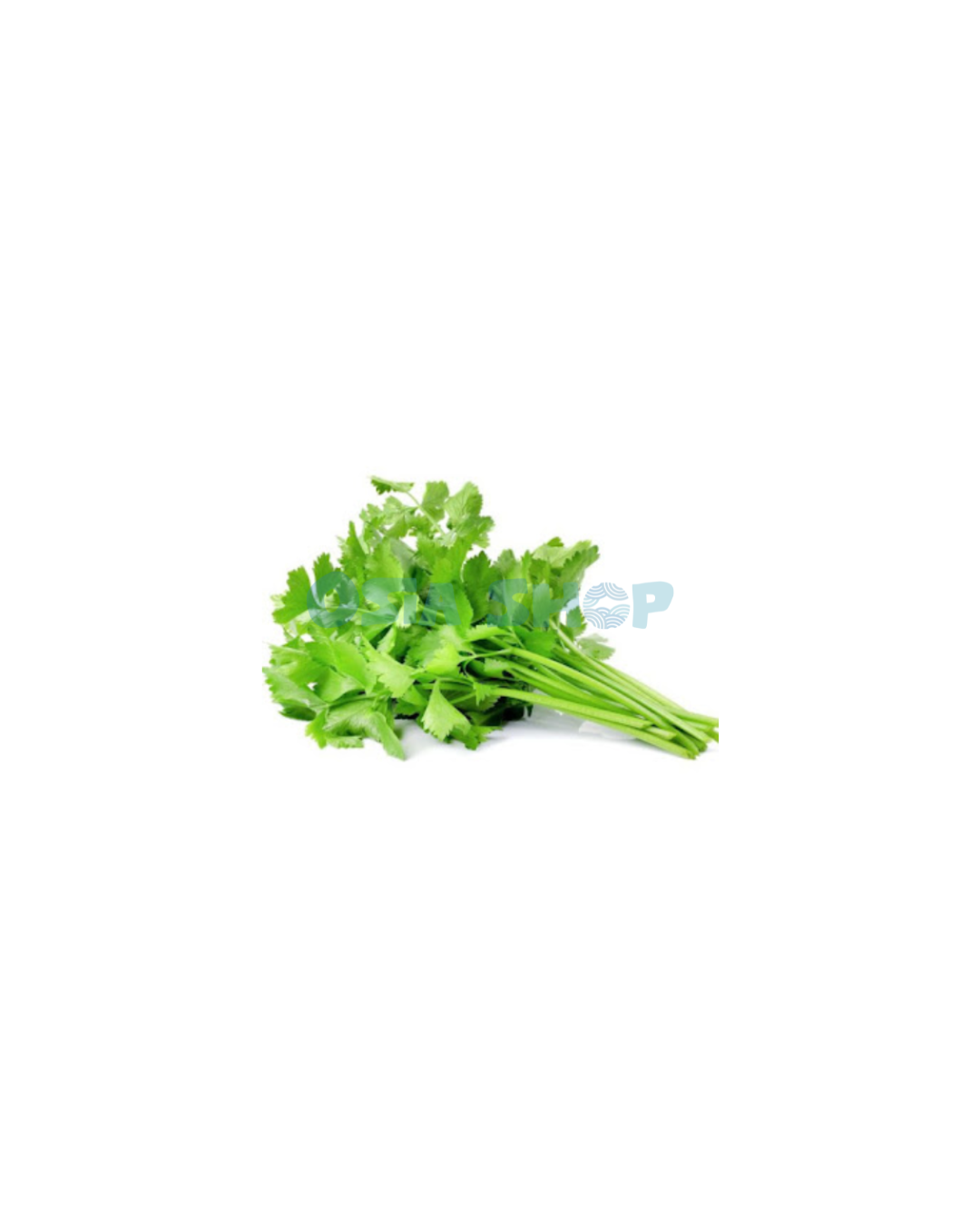 Thai-Sellerie 100g (ขึ้นฉ่าย / Cần tàu)