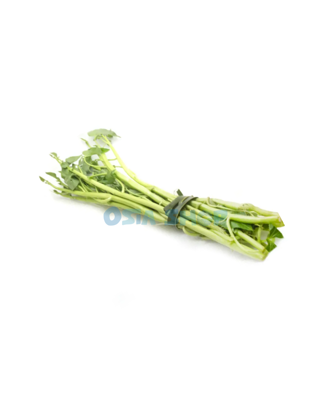 Thai-Wasserspinat 100g (ผักบุ้งไทย/ผักบุ้งแก้ว / Rau muống Thái )