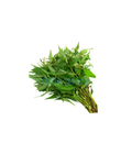 Vietnamesische Koriander 100g (ผักแพรว / Rau răm)