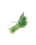 Wasserspinat 100g (ผักบุ้ง / Rau Muống)