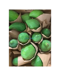 Grünpapaya 1KG มะละกอ
