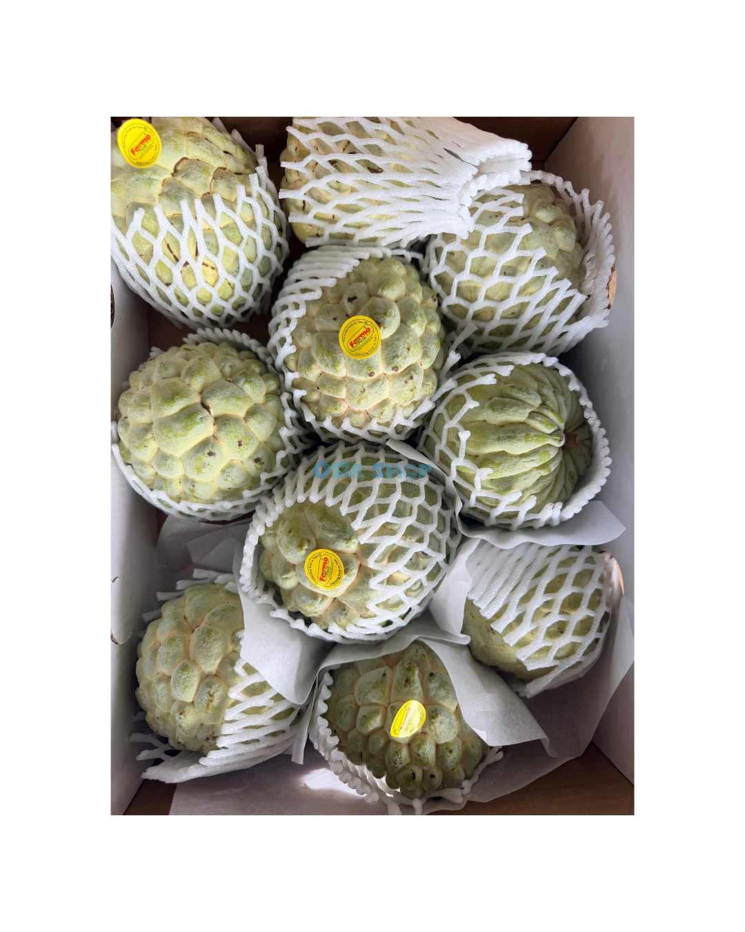 Cherimoya Zuckerapfel Zimtapfel 1KG น้อยหน่า