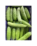 Bittermelone 1KG มะระจีน