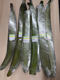 Indische Trompetenblume ลิ้นฟ้า ลิ้นไม้ เพกา