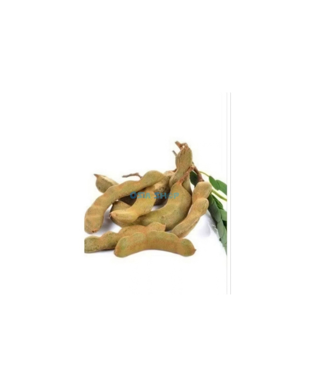 Frische Tamarind 100G มะขามอ่อน