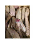 Lilakartoffeln 1KG มันม่วง