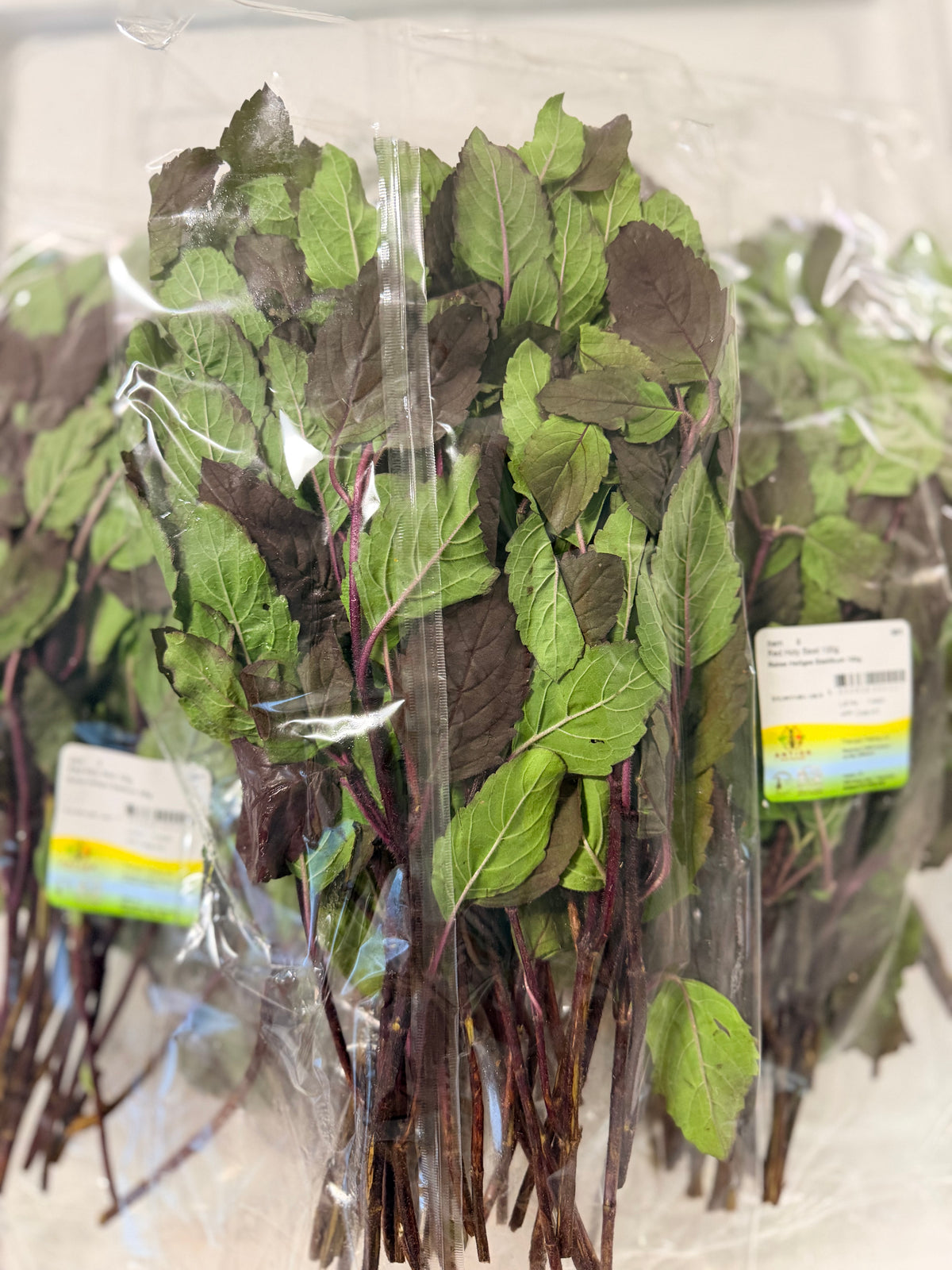 Thai Heiliges Basilikum rot /Kaprao Basilikum 100g (กะเพราแดง / Hương nhu)