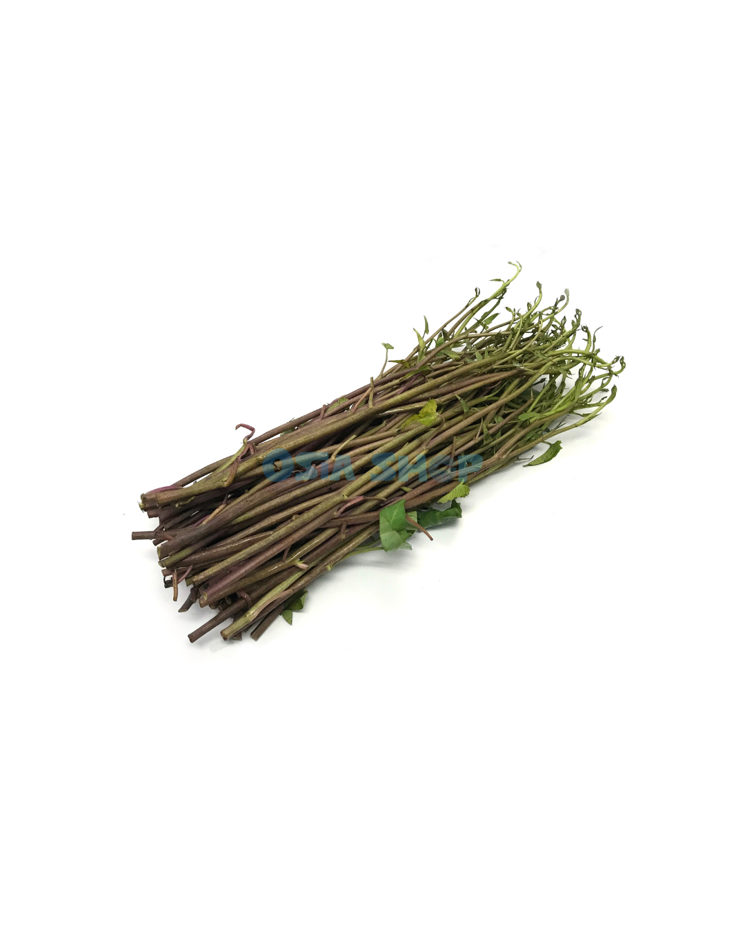 Roter Wasserspinat 100g (ผักบุ้งแดง ผักบุ้งนา)