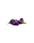 Lila Auberginen 100G มะเขือม่วง