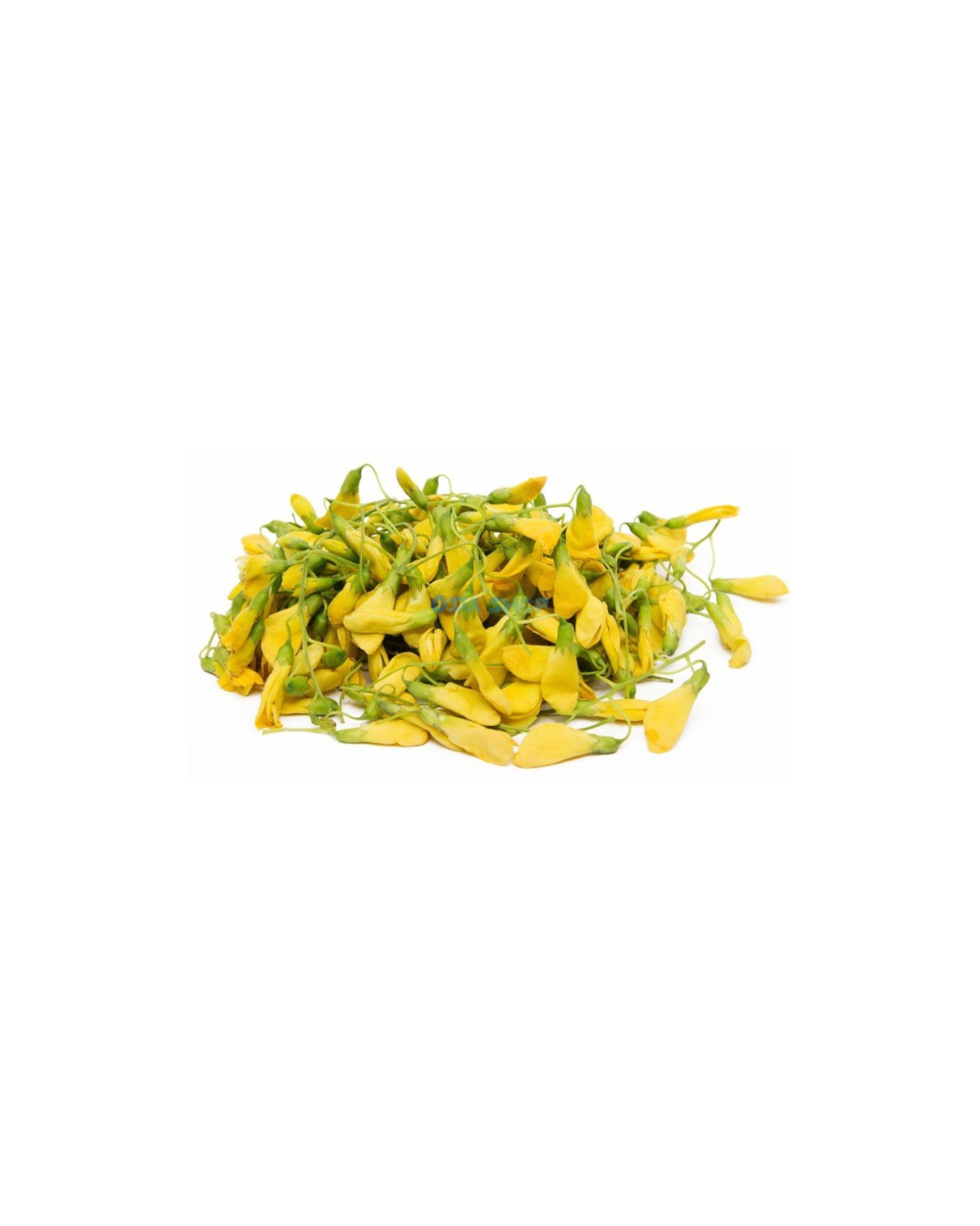 Sesbania-Blüte 100G ดอกโสน