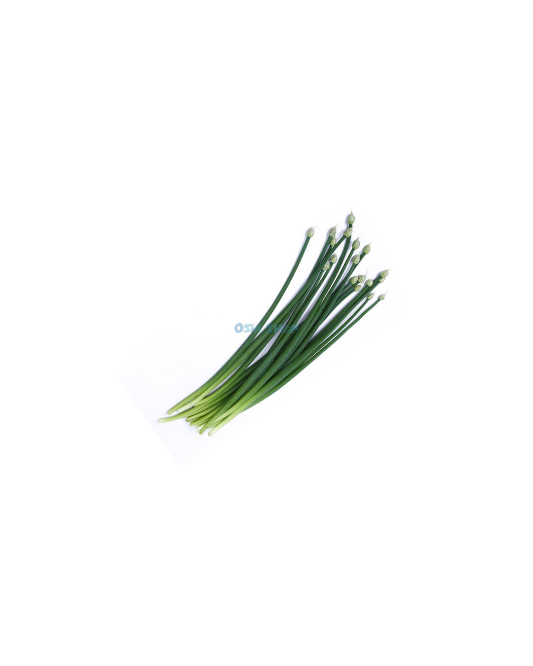 Frühlingszwiebelblüte 100G ดอกหอม