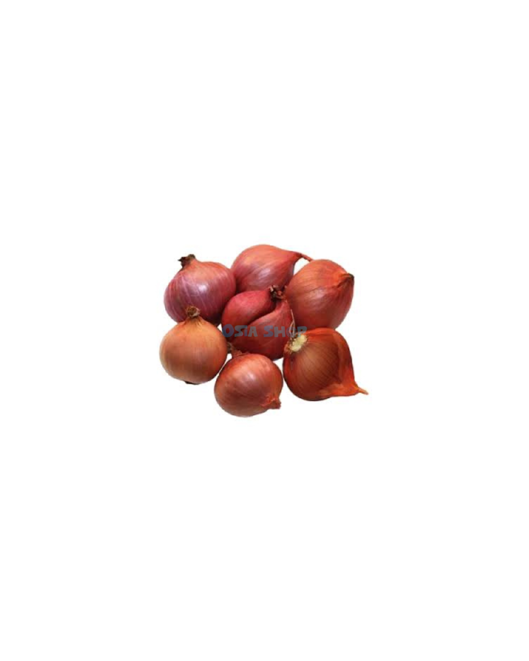 Thailändischen Schalotten 100G หอมแดง