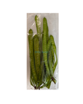 Junge Leucaena-Schoten 100G ฝักกระถินอ่อน