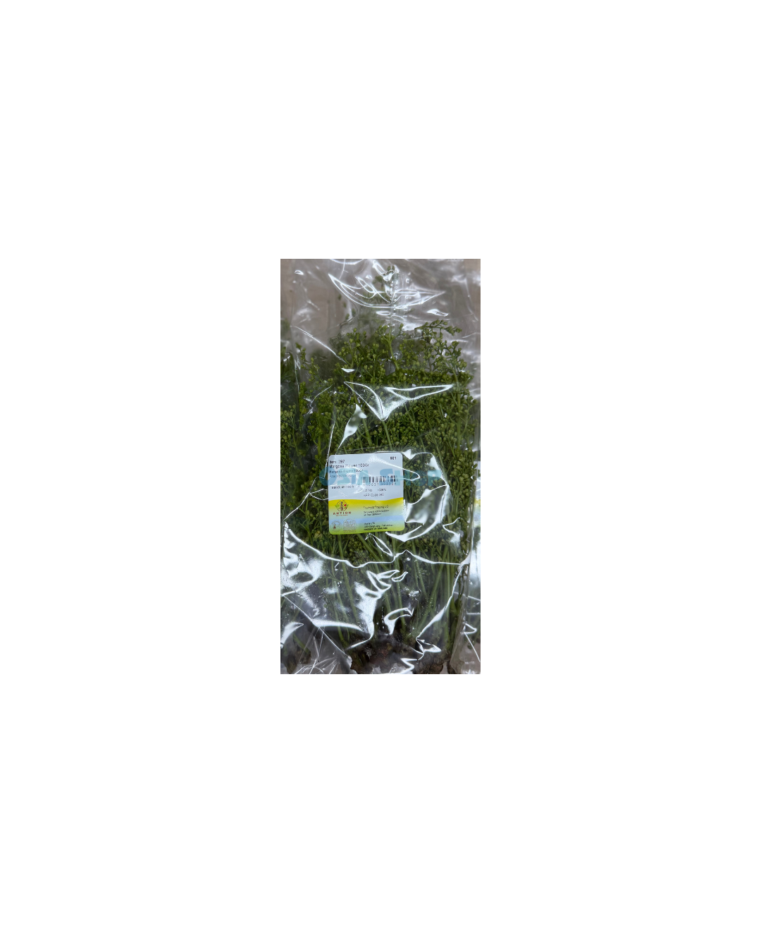 Sa Dao 100G สะเดา ดอก