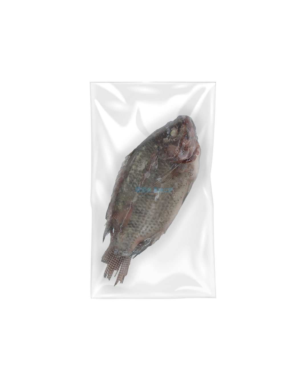 ❄️ (NUR ABHOLUNG) | Tilapia Ganze Fische 800/+ ปลานิลแช่แข็ง