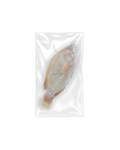 ❄️ (NUR ABHOLUNG) | Tilapia Ganze Fische (Rot) 800/+ ปล่าทับทิมแช่แข็ง