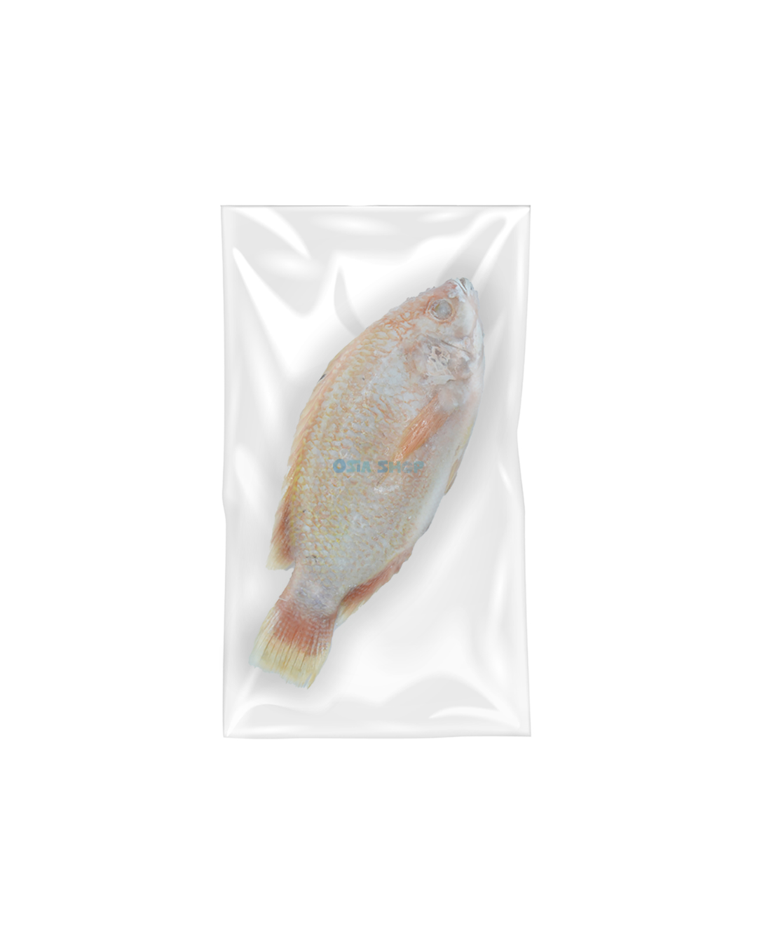 ❄️ (NUR ABHOLUNG) | Tilapia Ganze Fische (Rot) 800/+ ปล่าทับทิมแช่แข็ง