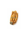 Kaempfer / Fingerwurz 100g (กระชาย /Củ bồng nga )